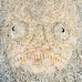 stargazer_whitemargin_c_gb_h_0055_kom0169.jpg